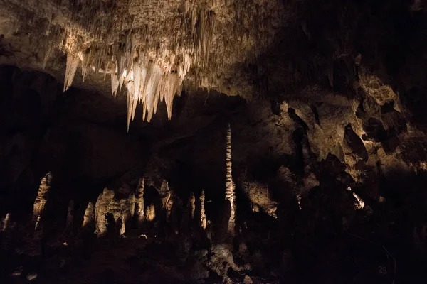 Scenic Verlichte Grot Carlsbad Caverns National Park Verenigde Staten — Stockfoto