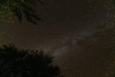 ABD 'deki Big Bend Ulusal Parkı' nda gece gökyüzü