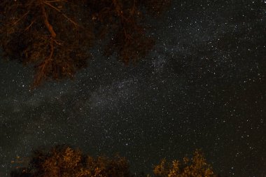 ABD 'deki Big Bend Ulusal Parkı' nda gece gökyüzü