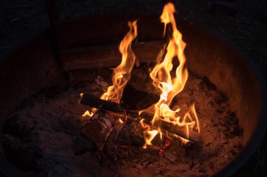 Gece bir Amerikan kamp alanında kamp ateşi, Rocky Mountain NP, ABD