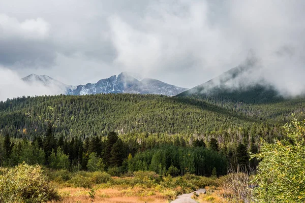 Nuvole Appese Sopra Una Foresta Nelle Montagne Rocciose Usa — Foto Stock