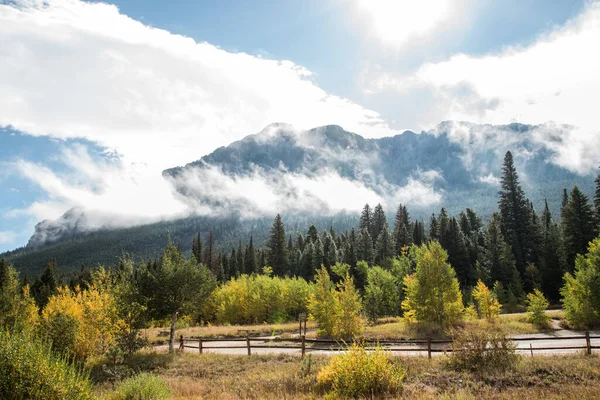 Nuvole Appese Sopra Una Foresta Nelle Montagne Rocciose Usa — Foto Stock