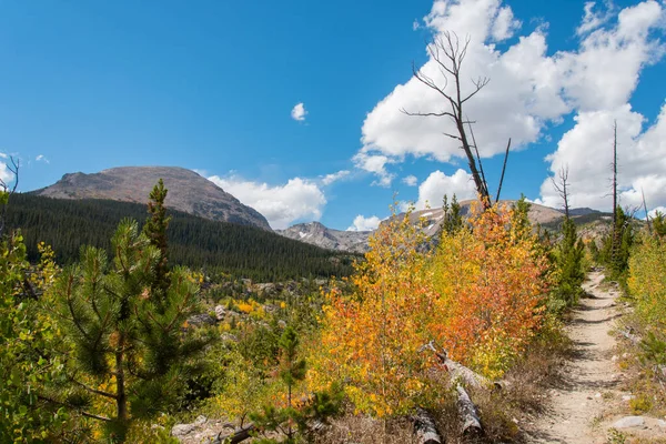 Alberi Colorati Autunno Nel Parco Nazionale Delle Montagne Rocciose Usa — Foto Stock