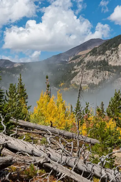 Hermoso Bosque Otoño Rocky Mountain National Park — Foto de Stock