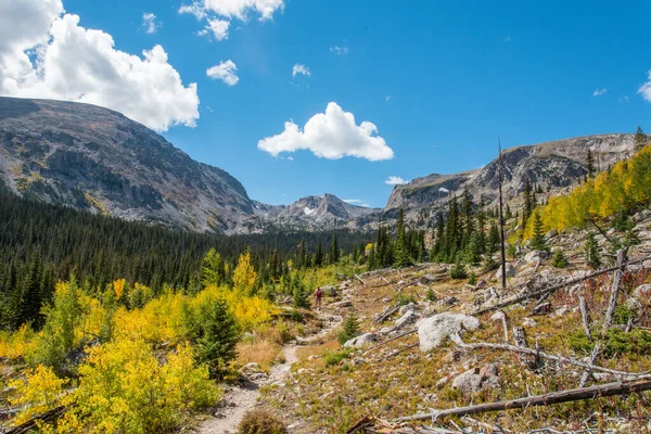 Bella Foresta Autunnale Nel Rocky Mountain National Park Stati Uniti — Foto Stock