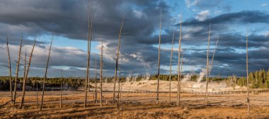 Yellowstone Ulusal Parkı 'ndaki Buharlı Çamur Bölgesi, ABD