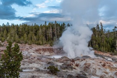 Yellowstone Ulusal Parkı 'ndaki Buharlı Çamur Bölgesi, ABD