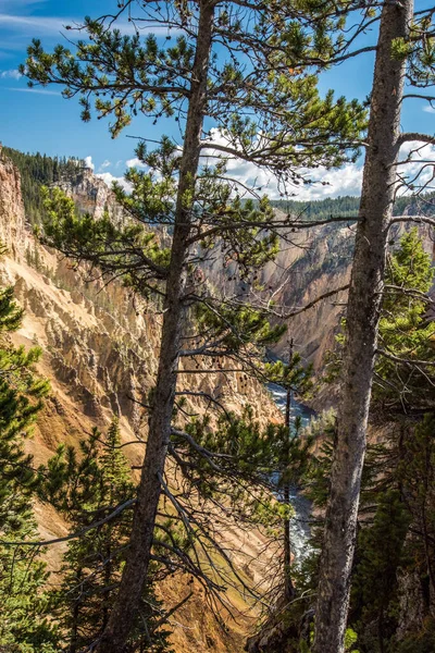 Řeka Tekoucí Populárním Grand Canyonem Yellowstone Usa — Stock fotografie
