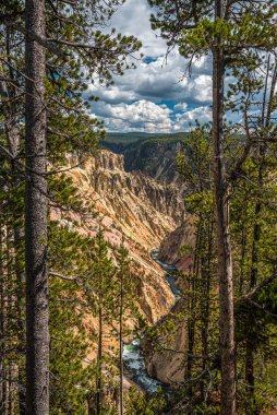Nehir Yellowstone, ABD 'nin popüler Büyük Kanyonu' ndan akıyor.