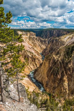 Nehir Yellowstone, ABD 'nin popüler Büyük Kanyonu' ndan akıyor.