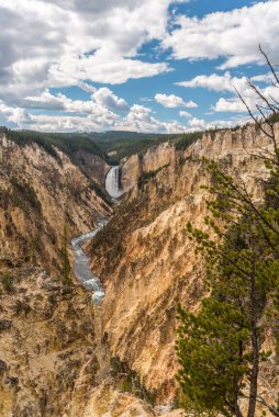 Nehir Yellowstone, ABD 'nin popüler Büyük Kanyonu' ndan akıyor.