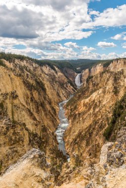 Nehir Yellowstone, ABD 'nin popüler Büyük Kanyonu' ndan akıyor.