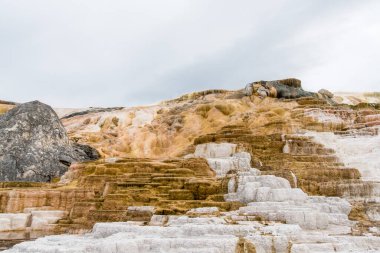 Mammoth Kaplıcaları, Yellowstone Ulusal Parkı, ABD 'de sahne cansız kalsiyum terasları
