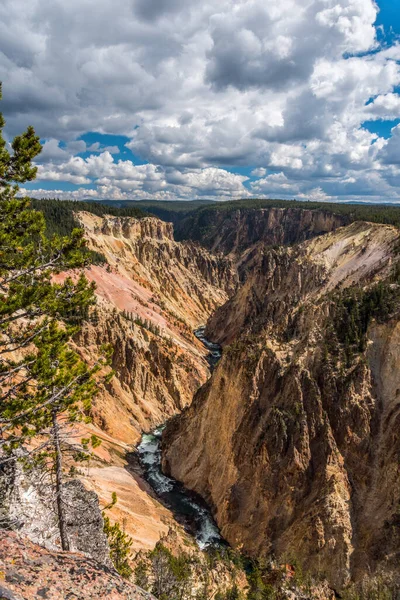 Ποταμός Ρέει Μέσα Από Δημοφιλές Grand Canyon Του Yellowstone Ηπα — Φωτογραφία Αρχείου
