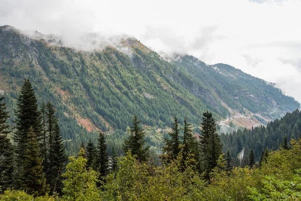 Magnificent Mountain Landscape Mount Rainier National Park Usa — Foto Stock