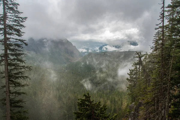 Magnífica Paisagem Montanhosa Torno Parque Nacional Mount Rainier Eua — Fotografia de Stock