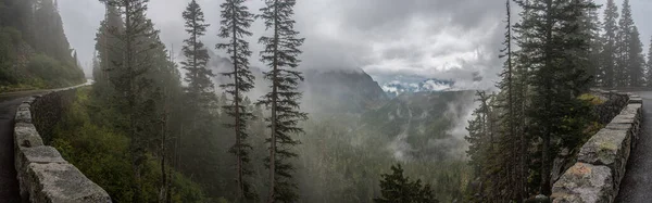 Υπέροχο Ορεινό Τοπίο Γύρω Από Όρος Rainier National Park Ηπα — Φωτογραφία Αρχείου