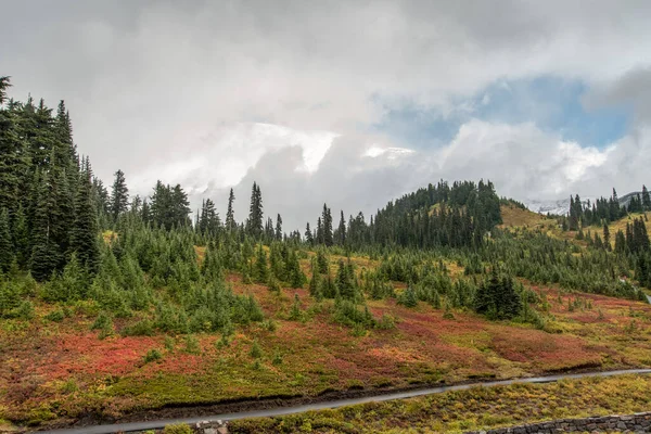 Πολύχρωμο Αλπικό Τοπίο Στο Όρος Rainier National Park Ηπα — Φωτογραφία Αρχείου