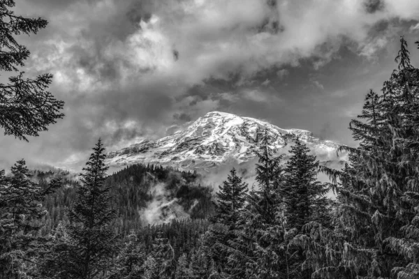 Rainier Hiding Clouds Seen Nisqually River Usa — ストック写真