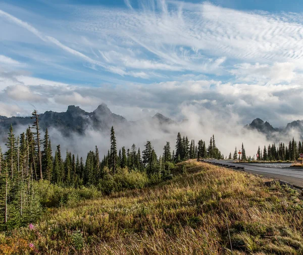 Great Paradisiac Landscape Arround Mount Rainier National Park Usa — Foto Stock