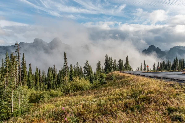 Great Paradisiac Landscape Arround Mount Rainier National Park Usa — Foto Stock