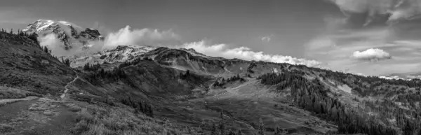 View Magnificent Mount Rainier Paradise Vista Trail Usa — ストック写真