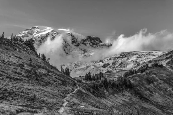 View Magnificent Mount Rainier Paradise Vista Trail Usa — ストック写真