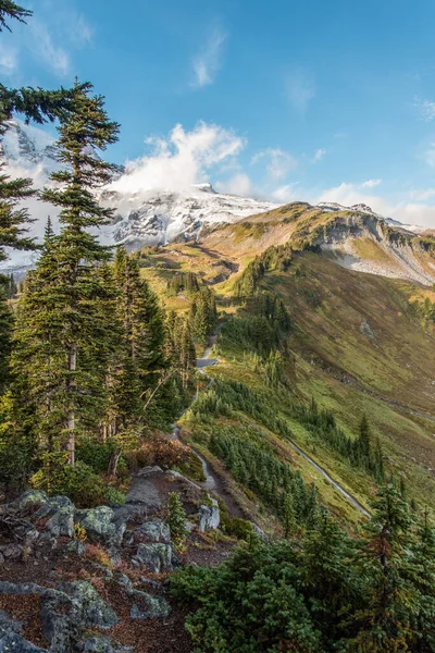 Θέα Στο Μαγευτικό Βουνό Rainier Από Paradise Vista Trail Ηπα — Φωτογραφία Αρχείου