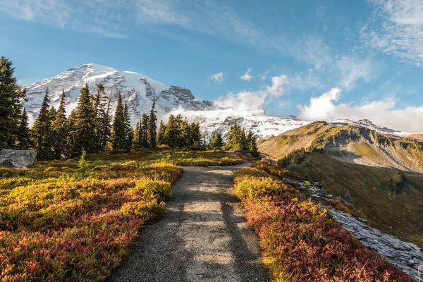 Uitzicht Prachtige Mount Rainier Vanaf Paradise Vista Trail Usa — Stockfoto