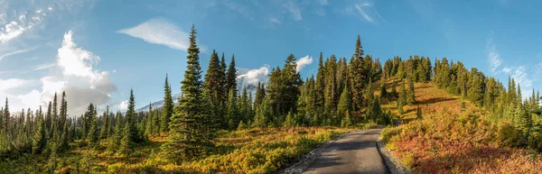 View Magnificent Mount Rainier Paradise Vista Trail Usa — Foto Stock