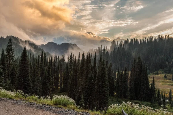 Great Paradisiac Landscape Arround Mount Rainier National Park Usa — Foto Stock