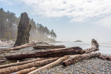 Pasifik kıyısındaki ünlü Ruby Sahili, Olympic National Park, ABD