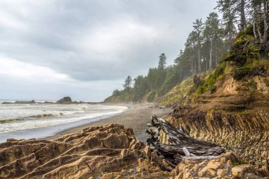 ABD 'nin Washington eyaletindeki Olimpiyat Ulusal Parkı' nda meditasyon amaçlı sessiz kayalık bir sahil.