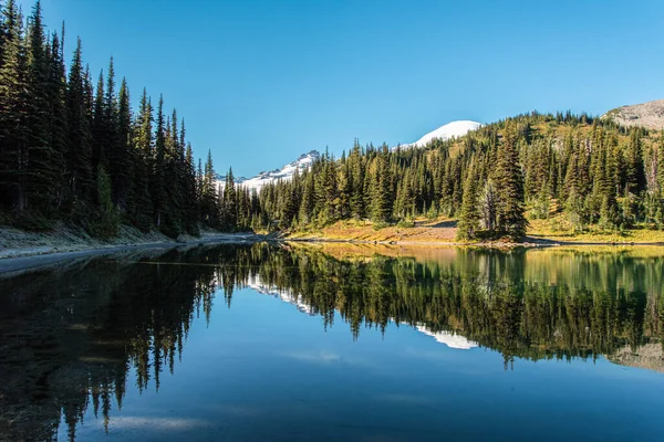 Scenic Reflection Shadow Lake Mount Rainier Background Rainier Usa — Foto Stock