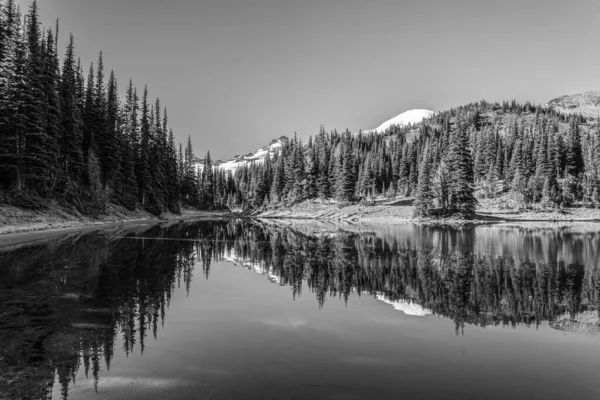 Scenic Reflection Shadow Lake Mount Rainier Background Rainier Usa — ストック写真
