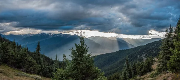 Paisagem Alpina Parque Nacional Olímpico Estado Washington Eua — Fotografia de Stock