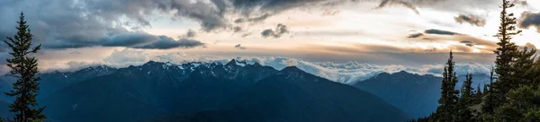 Paisagem Alpina Parque Nacional Olímpico Estado Washington Eua — Fotografia de Stock
