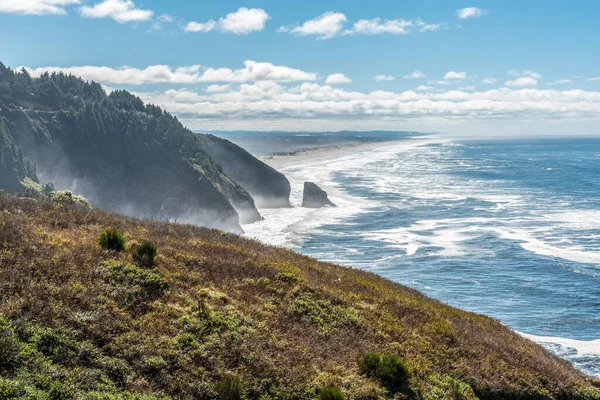 Untouched Coastal Landscape Oregon Usa — Fotografia de Stock