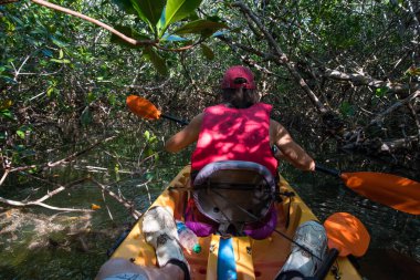 Florida, ABD 'deki Everglades bataklığında kano gezisi.