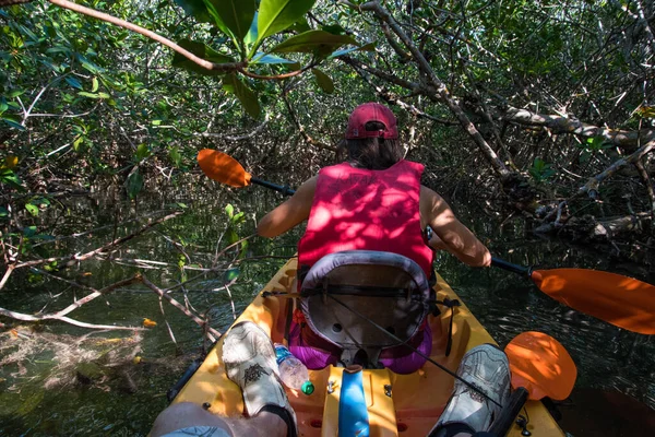 Canotaj Prin Mlaștina Everglades Din Florida Sua — Fotografie, imagine de stoc