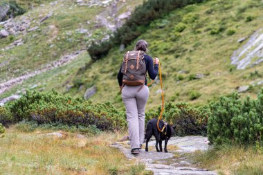 Avusturya Alpleri, High Tauern Ulusal Parkı 'nda köpeğiyle yürüyüş yapan bir kadın.