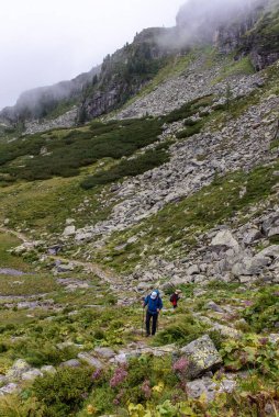 Avusturya 'nın yüksek Tauern Ulusal Parkı' ndaki Kaprun yakınlarında yürüyüş yapan yaşlı bir çift.