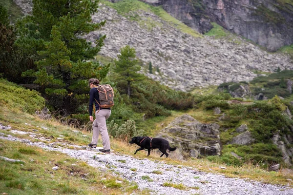 Mulher Caminhando Com Seu Cachorro Parque Nacional High Tauern Alpes — Fotografia de Stock