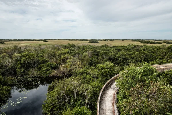 View Everglades Seen Top Observation Tower Shark Valley Florida Usa — Stock Fotó