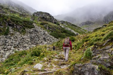 Avusturya Alpleri, High Tauern Ulusal Parkı 'nda köpeğiyle yürüyüş yapan bir kadın.