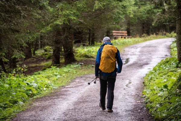 Homem Caminhando Sozinho Uma Floresta Parque Nacional High Tauern Nos — Fotografia de Stock