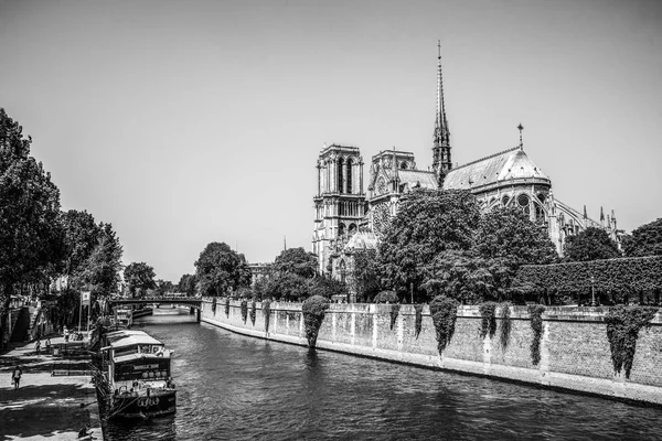 Notre Dame Cathedral Other Seine Side Paris France — стоковое фото
