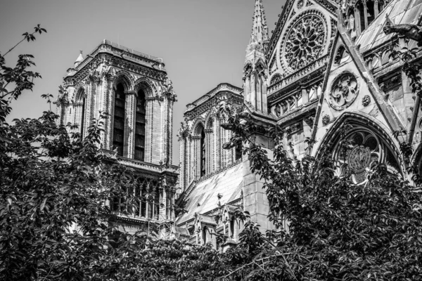 Kostelní Věž Katedrály Notre Dame Paříži Francie — Stock fotografie