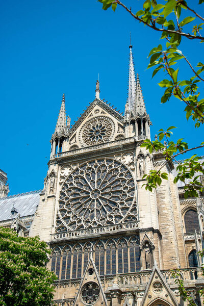 Window Rosette of the Southern Transept from Outside, Paris, France