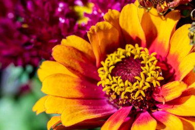 Bir buket çiçeğin içindeki güzel renkli bir makinenin yakın görüntüsü.